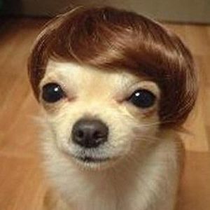 Meet your Posher, Leslie